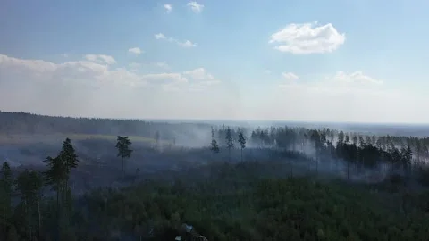 A forest fire, Tjällmo, Sweden Video stock 194839011