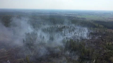 A forest fire, Tjällmo, Sweden Stock Footage 194839105
