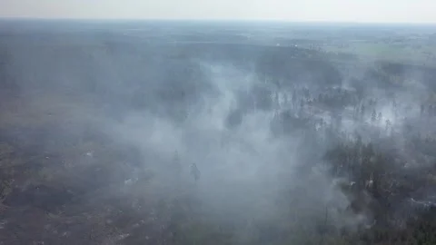 A forest fire, Tjällmo, Sweden Stock Footage 194839171