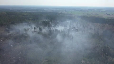 A forest fire, Tjällmo, Sweden Stock-Footage 194839177