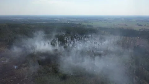 A forest fire, Tjällmo, Sweden Stock-Footage 194839194