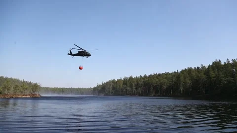 A forest fire, Tjällmo, Sweden 스톡 동영상 194839274