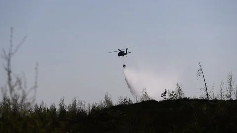 A forest fire, Tjällmo, Sweden Video stock 194839493