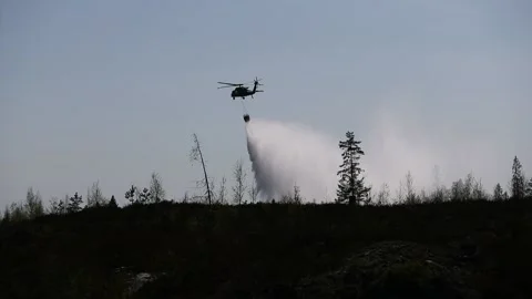 A forest fire, Tjällmo, Sweden Stock Footage 194839494