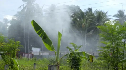 Forest fire in the tropics Vídeo Stock 155086969