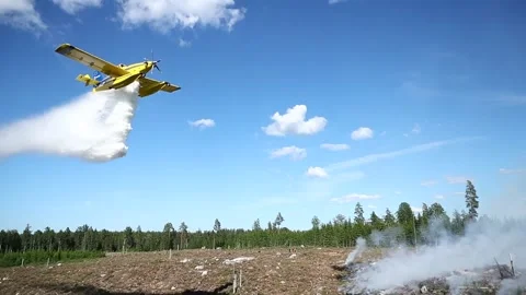 Forest fire, Ulrika Stock Footage 164396800