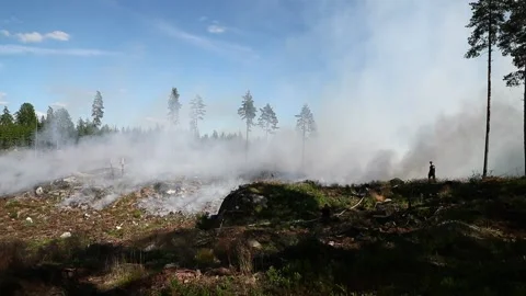 A forest fire, Ulrika, Sweden Stock Footage 219617593