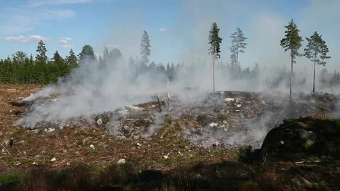 A forest fire, Ulrika, Sweden Stock Footage 219617594
