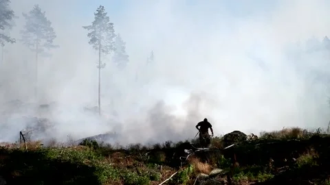 A forest fire, Ulrika, Sweden Stock Footage 219617762
