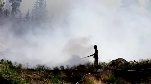 A forest fire, Ulrika, Sweden Stock Footage 219617763