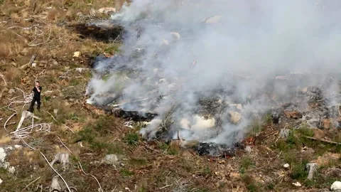 A forest fire, Ulrika, Sweden Stock Footage 219617765