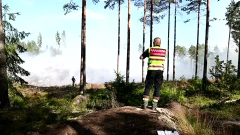 A forest fire, Ulrika, Sweden Stock Footage 219617770