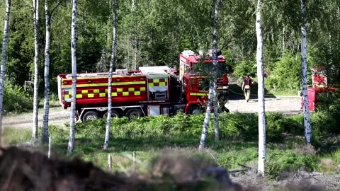 A forest fire, Ulrika, Sweden Stock Footage 219617771