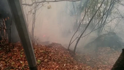 Forest Fire in Val Susa in Celle near Caprie, Italy Stock Footage 81492890