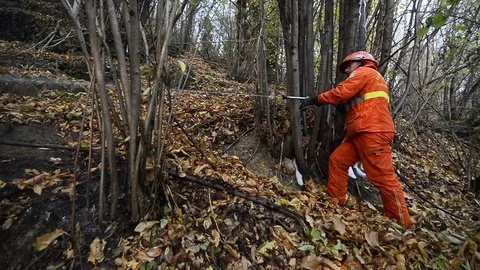 Forest Fire in Val Susa in Celle near Caprie, Italy Stock Footage 81492922