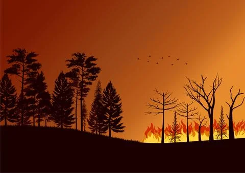 Forest fire vector Illustrazione stock