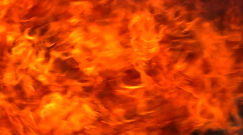 Forest fire very close. Wild and furious fire close in 4K Video.. Stock Footage 62466176