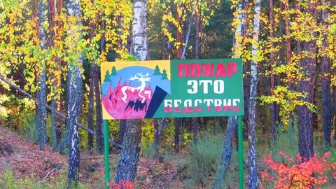 Forest Fire Warning Sign with Leaping Deer Illustration in Autumn Birch Woo.. Stock Photos