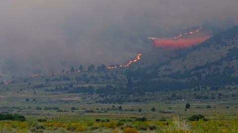 Forest Fire Water Dropping Airplane Stockbeeldmateriaal 65431637