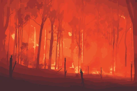 Forest fire. Wildfire burning tree during the dry season. Stock Photos