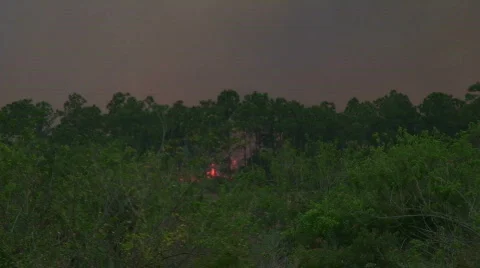 Forest Fire: Wildfire Stock Footage 490629