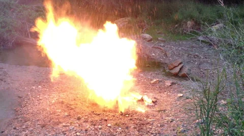 Forest Fireball Stock Footage 51136897