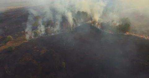 Forest fires 8 Stock Footage 55248346