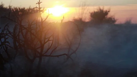 Forest fires and sunset,Turkey Stock Footage 108440104