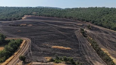 Forest fires caused by climate change in the Mediterranean, Spain Stock Photos