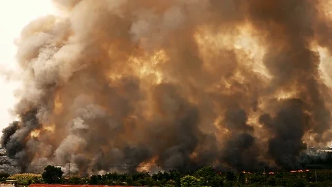 Forest fires destroy trees and smoke hot oversupply in the city. Stock Footage