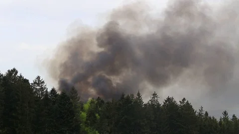 Forest fires Stock Footage 107110331