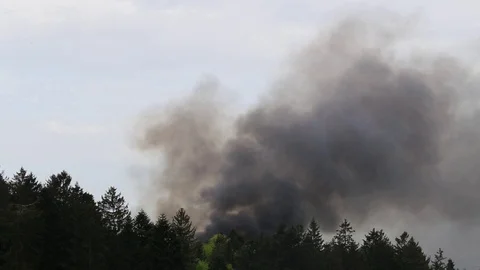 Forest fires Stock Footage 107110360