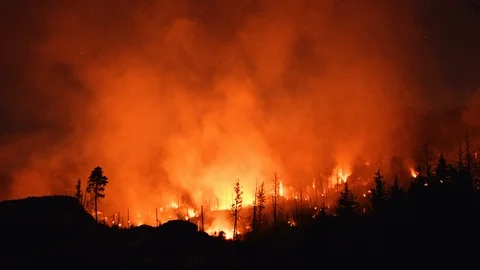 Forest fires Stock Footage 129574064