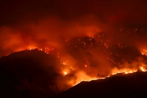 Forest fires Stock Footage 129701686
