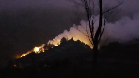 Forest fires Stock Footage 297585240