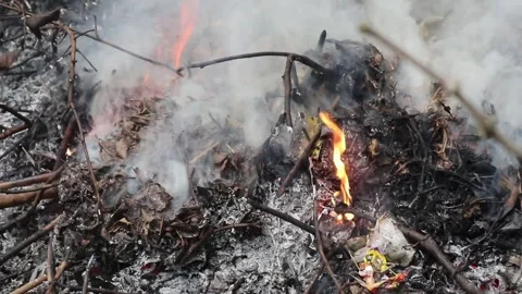 Forest fires. Forest fires due to global warming. Stock Footage 312242261