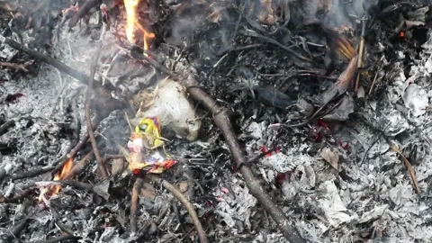 Forest fires. Forest fires due to climate change Stock Footage 312242282