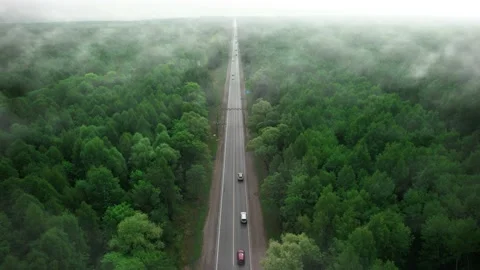Forest fires. A lonely road in the forest among the fire smoke and smog. The Vidéo 159531913