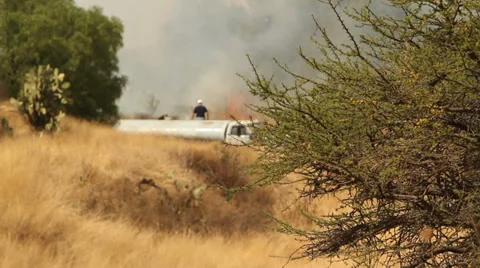 Forest fires in Mexico Stock Footage 34331886