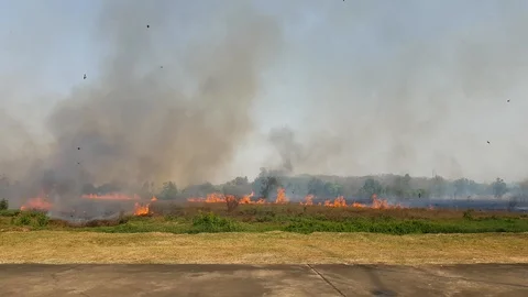The forest fires in the middle of dry grasslands are very severe. 動画素材 108260243