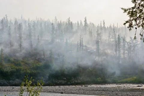 Forest fires. Foto stock