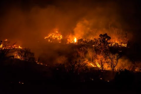 Forest fires Stock Photos