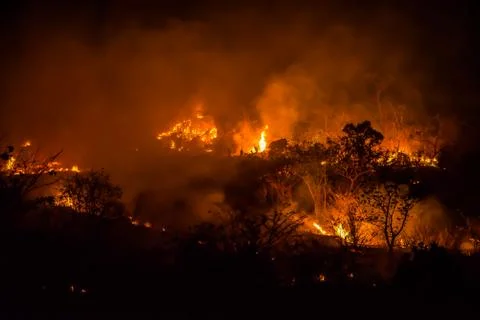 Forest fires Stock Photos