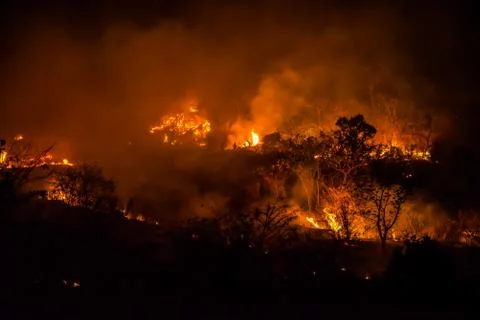 Forest fires Stock Photos