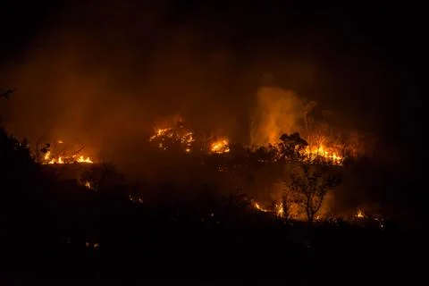 Forest fires Stock Photos