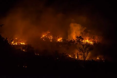 Forest fires Stock Photos