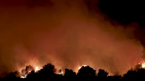 Forest fires in the prefecture of Evros in northern Greece in the biggest f.. Stock Footage 248797867