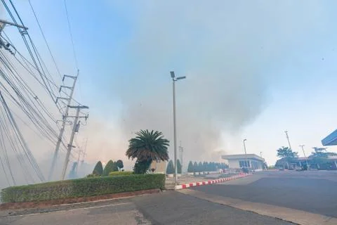 Forest fires on the side of the road Stock Photos