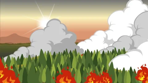 Forest fires, smoke and fire over the tops of trees Stock Footage 276961100