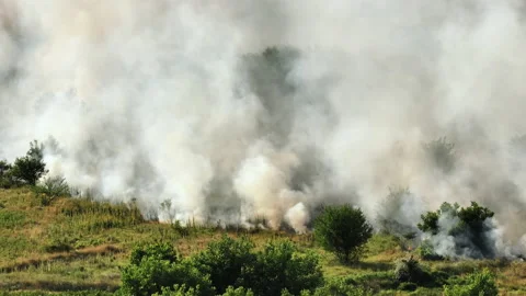 Forest Fires with smoke in summer. Thick smoke rises. Disaster in forest part Video stock 232371754